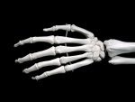Articulated hands for the 102 cm +$149.0