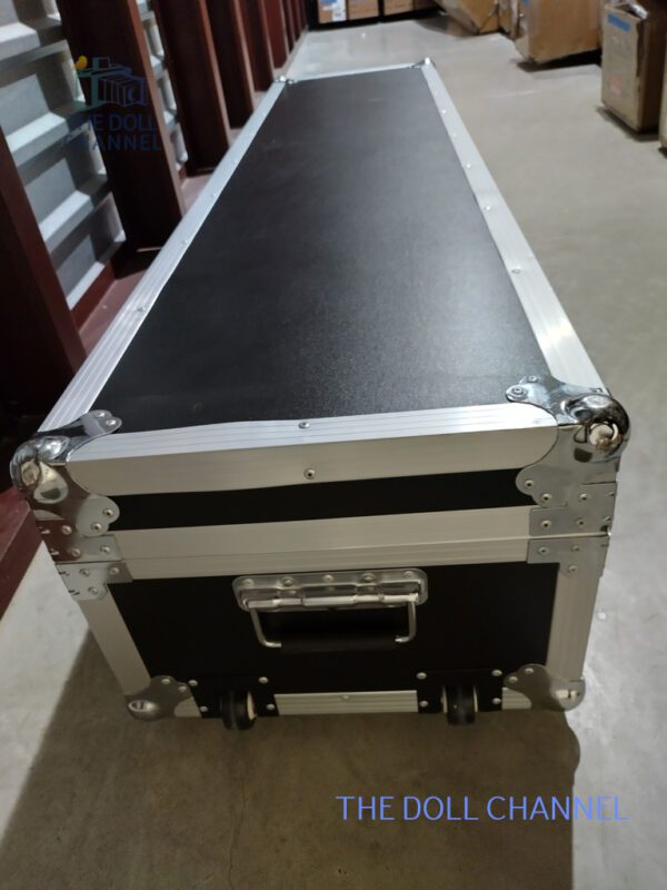 Flightcase21